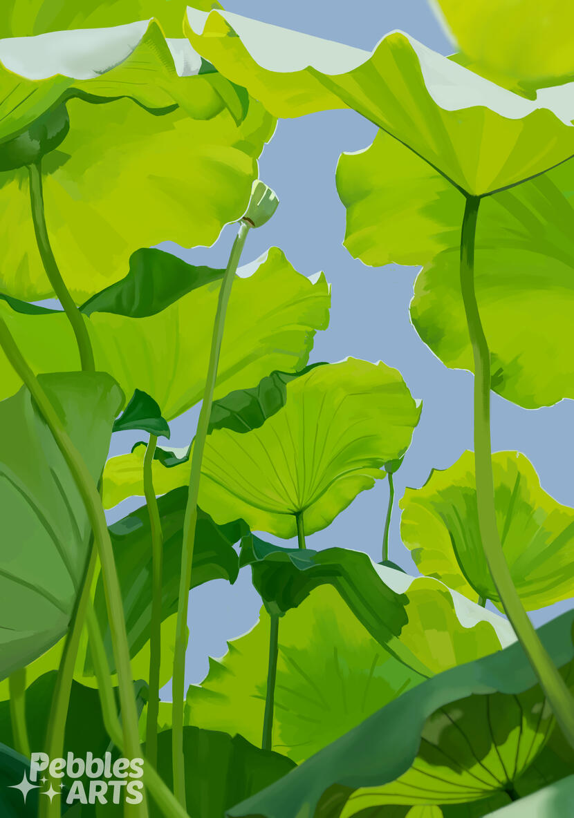 Leafs Leaf Study 2026