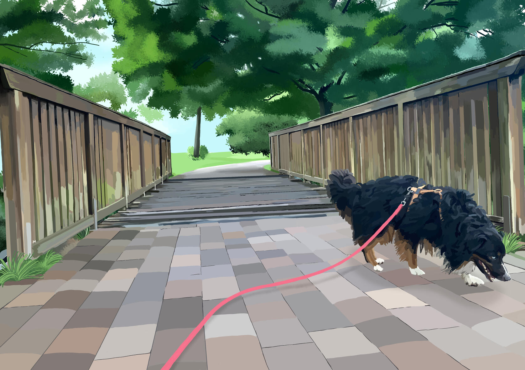 Bandit My Dog on a Bridge 2023